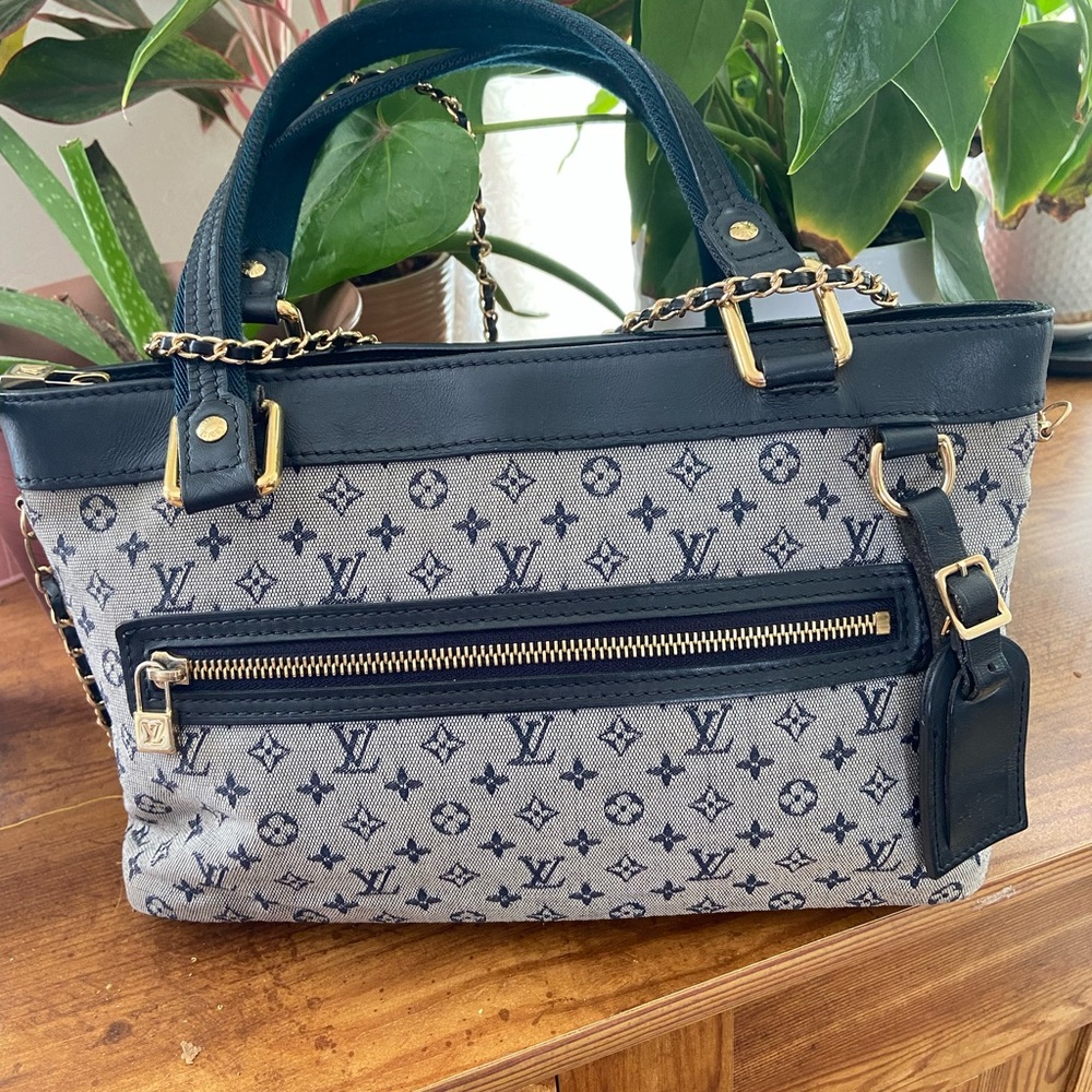 Louis Vuitton Mini Lin bag